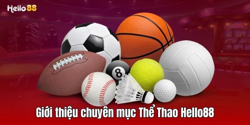 Giới thiệu danh mục cá cược thể thao HELLO88